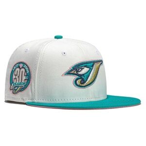 Toronto Blue Jays Hat